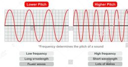 High-pitched tone Library The High-pitched tone S Library is an anthology of diverse that will captivate your senses and