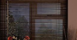 Venetian blinds Library The of Venetian blinds in the S Library evoke a sense of familiarity and comfort, transporting