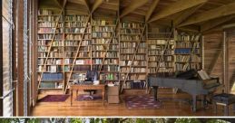 Dry Forest Library The ambiance of the Dry forest's library is filled with the melodious chirps of various birds, creating a