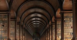 Stunning interior of a historic library with wooden arches and shelves filled with books, showcasing architectural beauty.