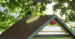 Colorful Little Free Library with books, showcasing community reading and sharing. Perfect for book lovers and neighborhood engagement.