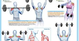 Weight lifting Library The of a weight lifting set in motion fill the space, creating a symphony of movement and