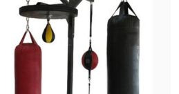 Punching bag Library The library of related to punching bags is a cacophony of intense and rhythmic noises. The Leather Bag