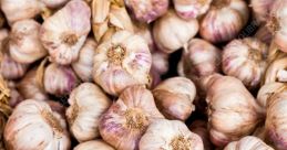 Garlic Library The first that resonates through Garlic's Library is the sharp, distinct of a knife slicing through a clove