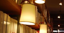 Lamp hit Library The Library was quiet, the only that could be heard was the faint whisper of pages turning as patrons