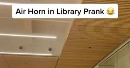 Air horns Library The reverberating tone of air horns fills the air, signaling the start of an international basketball