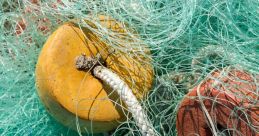 Fishing Net Library The Fishing Net S Library is a treasure trove of related to the world of fishing. One of the first you