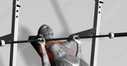 Bench press Library The of a Foley Bench Press Machine ringing throughout the gym captures the attention of everyone in the