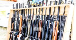 Pellet gun Library The Pellet gun S Library is a treasure trove of that will transport you to the heart of the action. From