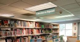 Noon Library The serene forest ambience of Baden Württemberg, Germany, fills the air around Noon's Library with a sense of