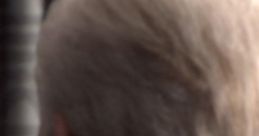 Close-up of the back of a character's head, featuring distinct light-colored hair and a detailed jacket, evoking Mace Windu.