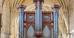 Intricate cathedral organ with elaborate woodwork, showcasing its grandeur in a historic library setting.