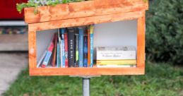 Plastic roof Library The soothing patter of weather medium rain on a plastic roof fills the Library with a sense of calm and