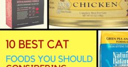 Cat food Library The Cat Food's Library is a treasure trove of that are not only essential for cat owners but also