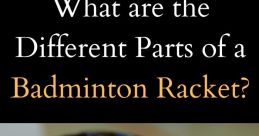 Badminton racket Library The Badminton Racket S Library is a treasure trove of that evoke the fast-paced, high-energy world