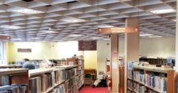 Lively Library The lively that fill the air in Lively S Library are a cacophony of bustling activity and learning. The