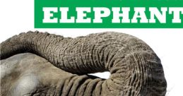 Elephant Library The Elephant Aggression 21 Center captures the intense energy and power of an elephant in a state of