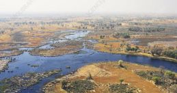 Okavango Delta Library The Okavango Delta is a place of unparalleled beauty and wonder, a sanctuary for a vast array of