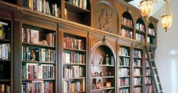 Elegant wood-scraped library featuring tall shelves filled with books, a cozy seating area, and intricate wooden details.