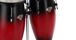 Congas loop Library The first in the Congas loop S Library is a lively and rhythmic one. The crisp and distinct tones of