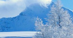 Snow The crisp winter air was filled with the cacophony of as a flock of snow geese flew overhead. Their honking calls