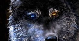 Wolf The of a wolf growling is a menacing and guttural noise that strikes fear into the hearts of those who hear it. It