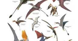 Pterodactyl If you're looking to add a touch of prehistoric suspense to your next project, the distinct of a Pterodactyl