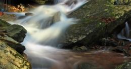 Stream If you close your eyes and imagine yourself sitting by a tranquil stream, you can almost hear the gentle flow of