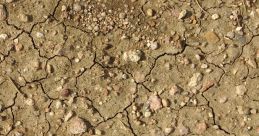 Cracked dirt surface featuring small stones and pebbles, illustrating natural soil texture and erosion patterns.