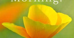 Good The first that comes to mind when thinking of the subject of Good is the gentle and comforting voice of a Good Morning