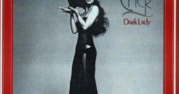 Cher, showcasing the "Dark Lady" era with a striking pose and black cat, promoting her enchanting album.