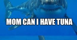 Tuna Meme The Tuna Meme has taken the internet by storm, with its catchy phrases and hilarious moments that have become