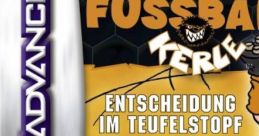 Die Wilden Fussball Kerle: Entscheidung im Teufelstopf - Video Game Video game from Die Wilden Fussball Kerle: Entscheidung