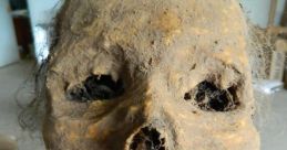 Mummified human skull with exposed teeth, featuring weathered surface and sparse hair, showcasing decomposition details.