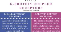 Comparison of ligand-gated ion channels and G-protein coupled receptors, highlighting functions and structures in neuroscience.