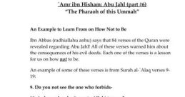 Amr Hisham Amr Hisham's al journey is one filled with a diverse range of , each uniquely blending together to create his