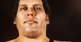 Andre The Giant André René Roussimoff, better known as André the Giant, was a French professional wrestler and actor. He