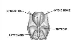 Laryns. World from Laryns. World. #speech #hum #heart #narration #monologue #inside #smallroom #malespeech #manspeaking