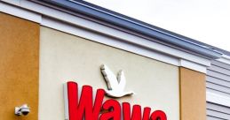 Wawa from wawa. # #lullaby #electricpiano #trap #rapping #hiphop #choir #opera #speech #snake #alinstrument #percussion