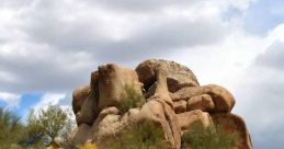 Distinctive boulders rise amidst desert flora near the road, showcasing the natural beauty of the area's landscape.