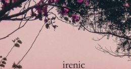 Irenicht_ from Irenicht_. # #piano #electricpiano #keyboardal #alinstrument #electronic #techno #funksoul #soul #noise