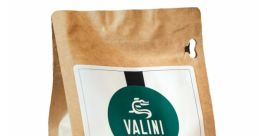 Valini from Valini. #recording #speech #speechsynthesizer #malespeech #manspeaking #narration #femalespeech #womanspeaking