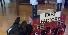 Rob & Dave's Fantastic Fart Factory