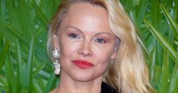 Pamela Anderson She's a Canadian-American actress, sex symbol, glamour model, producer, TV personality and author. For a