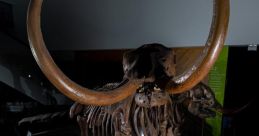 A researcher stands proudly beside a mammoth skeleton, showcasing ancient history and fossil discovery expertise.