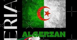 Algerian.Pride from Algerian.Pride. #effects #coindropping #effect #crunch #singlelensreflexcamera #rattle # #ticktock #tick