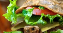 Turtle with lettuce and tomato on its back, creatively styled as a food dish, showcasing playful animal themes.