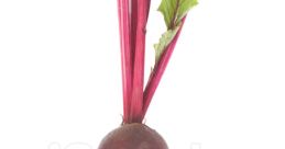 Beet from Beet. #other # #drum #percussion #alinstrument #drumkit #ambient #newage #speech #malespeech #manspeaking #vehicle