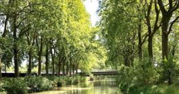 LES BATEAUX TOULOUSAINS from LES BATEAUX TOULOUSAINS. #speech # #whistling #whistle #femalespeech #writing #inside