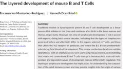 Mouse B from Mouse B. #speech #femalespeech #womanspeaking #narration #monologue #speechsynthesizer #malespeech #manspeaking